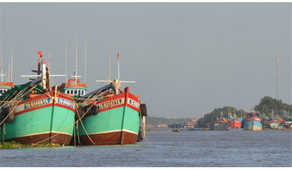 Tàu cá của ngư dân Tiền Giang. Ảnh: Vân Anh