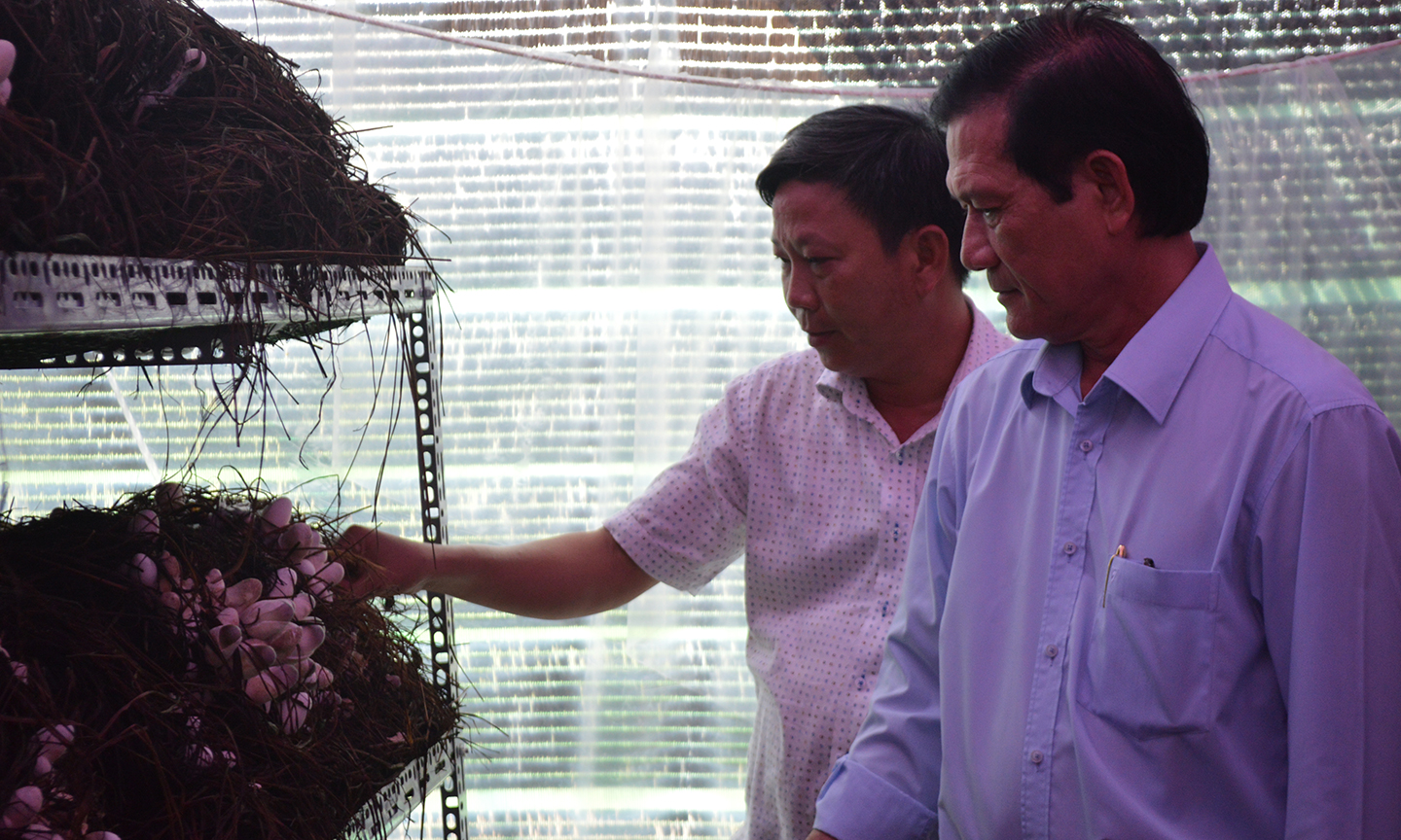 TS. Lê Quang Khôi (bên trái) luôn tận tâm với các dự án nghiên cứu để có thể tạo ra các sản phẩm chất lượng giúp người dân phát triển kinh tế.                                                                                Ảnh: Tuấn Lâm