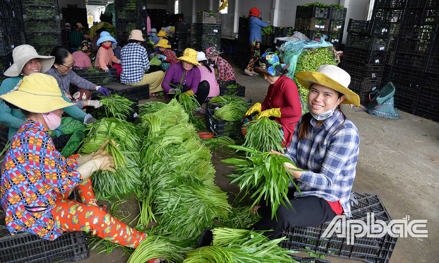Đời sống người dân xã Long Thuận ngày càng nâng cao.