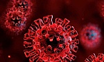 Phát hiện vùng khí hậu tối ưu đối với virus SARS-CoV-2