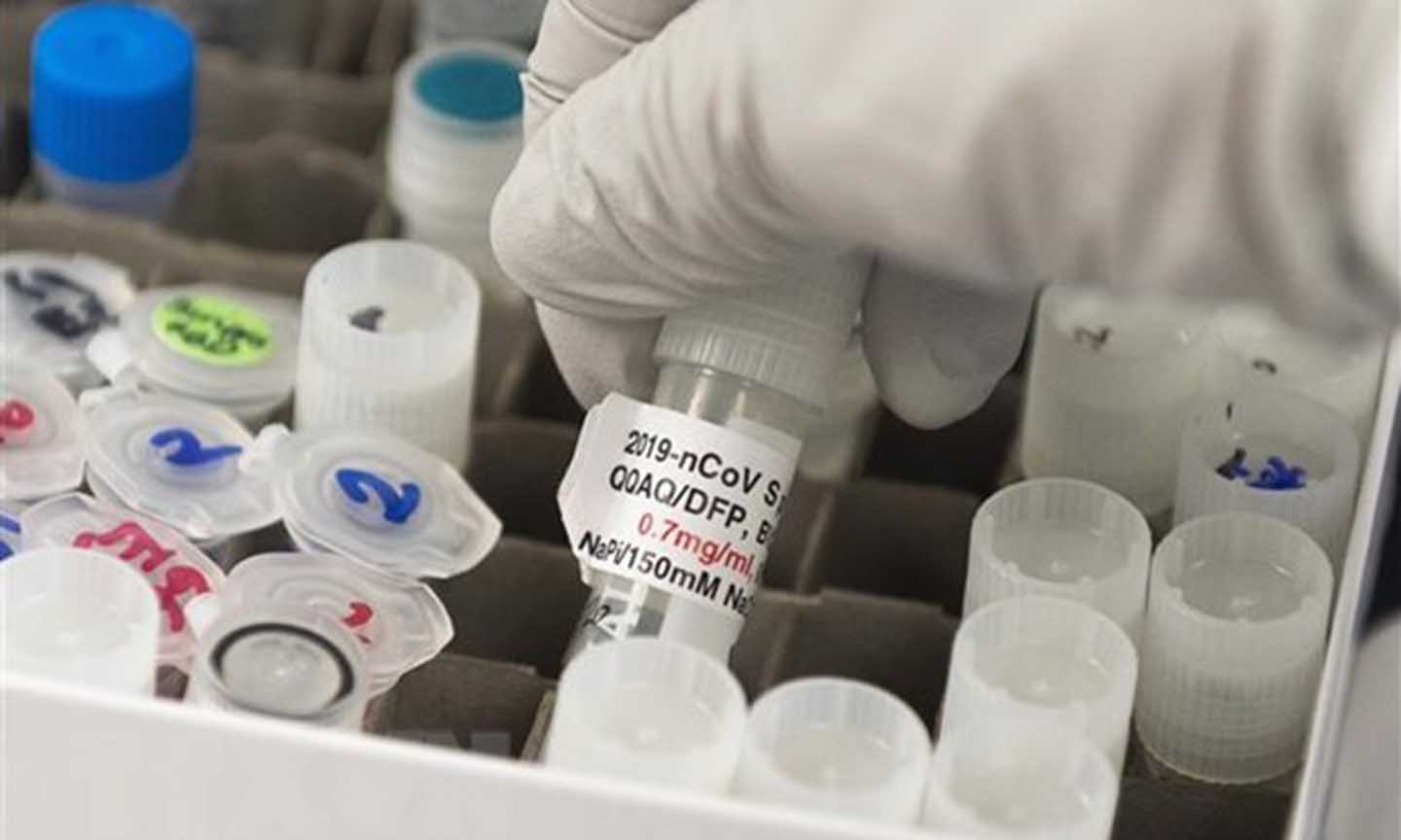 Vắcxin phòng COVID-19 được nghiên cứu tại phòng thí nghiệm Novavax ở Rockville, Maryland, Mỹ ngày 20/3/2020. (Ảnh: AFP/TTXVN)