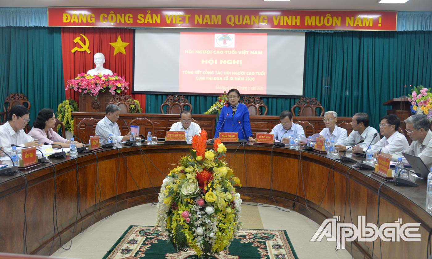 Phó Chủ tịch Hội NCT Việt Nam Phạm Thị Sơn phát biểu tại hội nghị tổng kết.