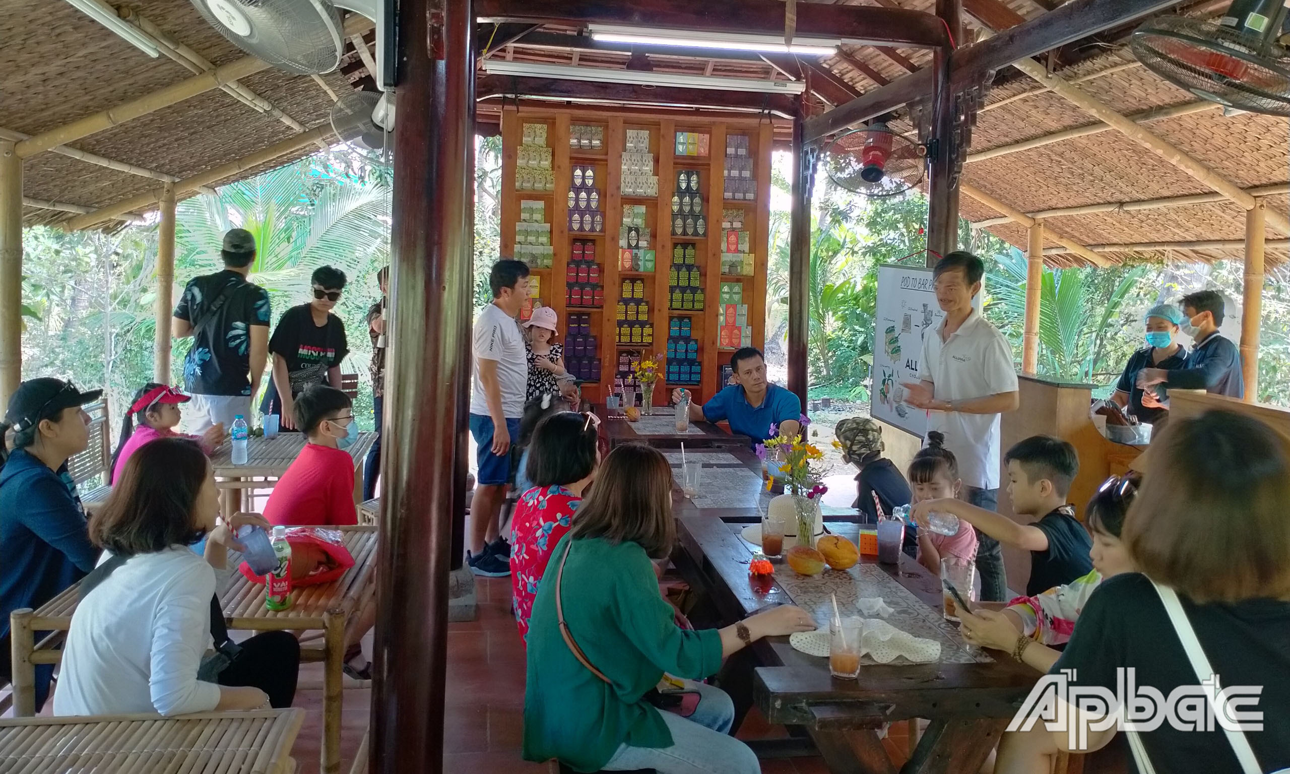 Du khách tham quan trải nghiệm tại vườn cacao Chợ Gạo.