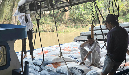 Giá gạo xuất khẩu Việt Nam xuống thấp nhất trong nhóm quốc gia cạnh tranh