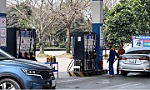 Triển khai hoá đơn điện tử tại cửa hàng xăng dầu: Petrolimex và PVOIL đã về đích