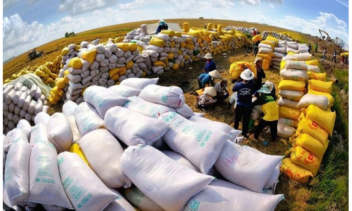 Xuất khẩu gạo lọt vào tốp những mặt hàng nông nghiệp có mức tăng trưởng cao và đạt trên 1 tỷ USD trong 3 tháng đầu năm.