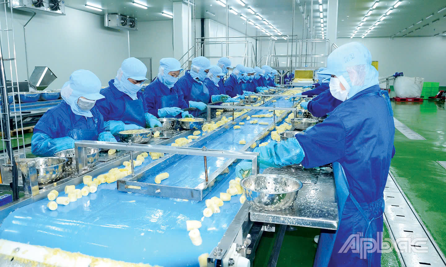 Tiền Giang: Tín hiệu tích cực từ thu ngân sách