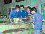 “Vùng trũng” về đào tạo nguồn nhân lực