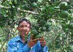 Anh kỹ sư đam mê vườn ruộng
