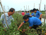 Tháng ba và sức mạnh của tuổi trẻ xung kích, tình nguyện