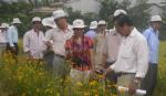 Chìa khóa cho sản xuất lúa bền vững