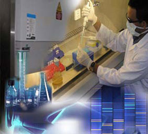 Công nghệ sinh học là một trong những thế mạnh của Cuba