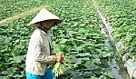Chuyển biến từ sức mạnh đại đoàn kết ở một xã