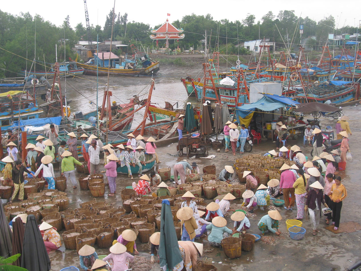 Một góc cảng cá Vàm Láng