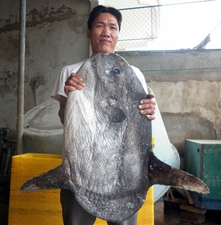 Anh Đoàn và con cá Mặt trăng