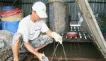 Nuôi cá bè trên sông: Từ cá điêu hồng sang cá lăng nha