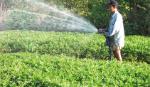 Long Hưng trên đường xây dựng nông thôn mới