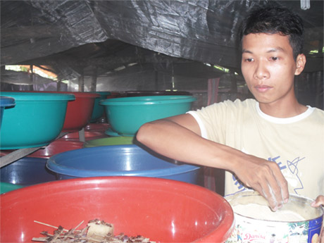 Anh Sơn và mô hình nuôi dế.