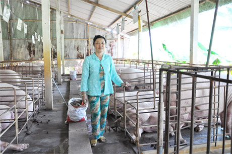 Với kinh nghiệm và thành công với mô hình chăn nuôi, chị