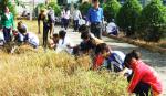 Ra quân chiến dịch “Thanh niên tình nguyện hè”