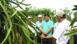 Khảo sát tour du lịch mới