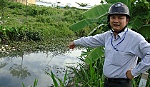 Người dân kêu cứu vì kinh “nước đen”