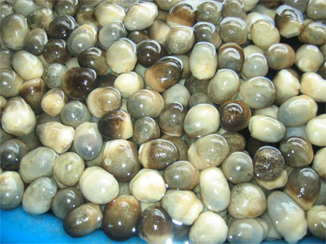 Trong số 36 mặt hàng, nấm rơm muối, nấm rơm đóng lon đạt kim ngạch cao nhất. Ảnh: vietstarco.com.vn
