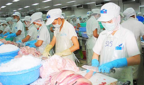 Công nhân Công ty CP Hùng Vương chế biến cá tra xuất khẩu.