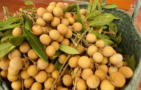 Ảnh: agriviet.com