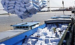 Doanh nghiệp Việt Nam trúng thầu 175.000 tấn gạo bán cho Philippines