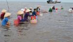 Bám biển