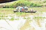 Dẹp loạn nạn 