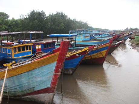 Khu neo đậu tàu thuyền.