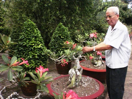 Trung tướng Mười Thi vui thú cùng cây kiểng