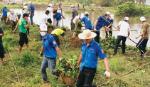 Những chuyển động tích cực qua các phong trào thanh niên