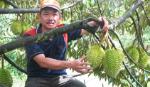 Diện mạo mới trên quê hương Ba Rài