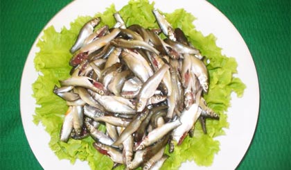 Mùa cá linh - bông so đũa