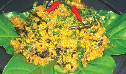 Rắn trun xào lá nhàu