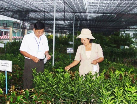 Cán bộ Trung tâm Giống nông nghiệp chăm sóc cây giống.
