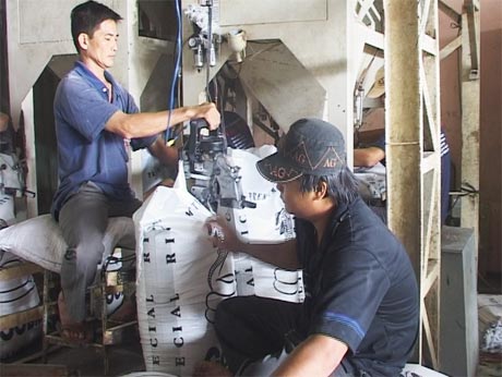 Công nhân các nhà máy đang tất bật đóng hàng để xuất khẩu. 