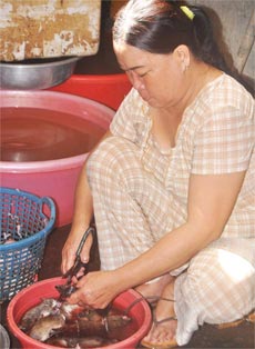Khách hàng (phải) mua chuột tại vựa chuột của bà Đặng Thị Minh.