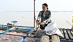 Cán bộ Hội “2 giỏi” trên đất cù lao Năm Thôn