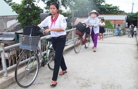 Qua thời gian đầu tư, đến nay 100% tuyến GTNT chính của Hậu Mỹ Phú đã trải dal nhưng so với tiêu chí NTM vẫn còn nhiều việc phải làm.