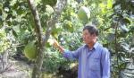 Người thương binh chí thú làm vườn