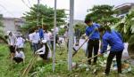 Thủ tướng chỉ thị triển khai Phong trào Vệ sinh yêu nước