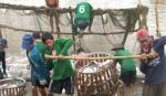Để ngành Thủy sản vùng ĐBSCL phát triển xứng tầm