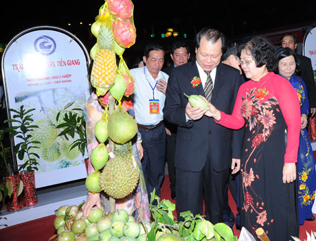 Pho thu tuong vu anh ninh va nguyen pho chu tich nuoc truong my hoa tham giang hang trai cay tg