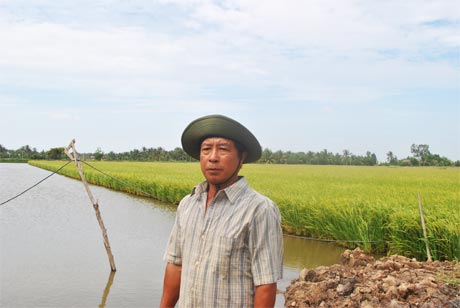 Anh Sáu Bình bên cạnh mô hình tôm - lúa của gia đình.