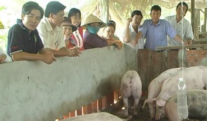 Đại biểu và nông dân tham quan mô hình.