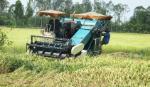 Thạnh Lộc - xây dựng nông thôn mới trên miền đất khó
